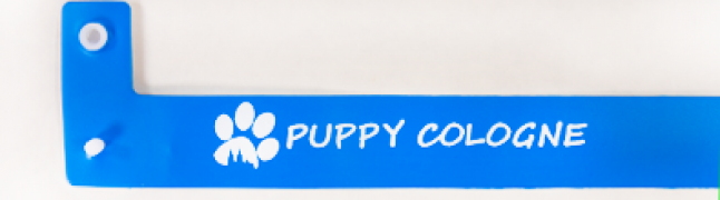 Da, am nevoie de 1 culoare de personalizare (1+0)! - +49,00 RON (+59,29 RON Cu Taxe)